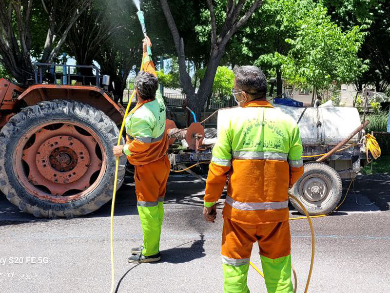 تصاویر درختان خسروشاه