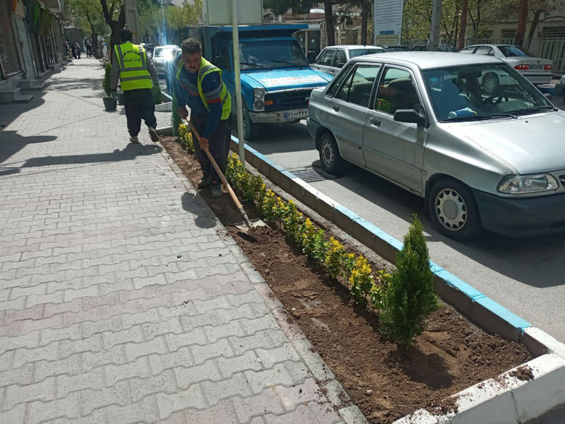 تصاویر درختان خسروشاه