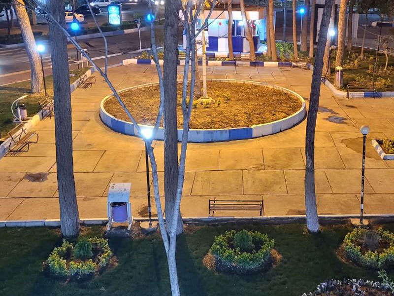 تصاویر درختان خسروشاه