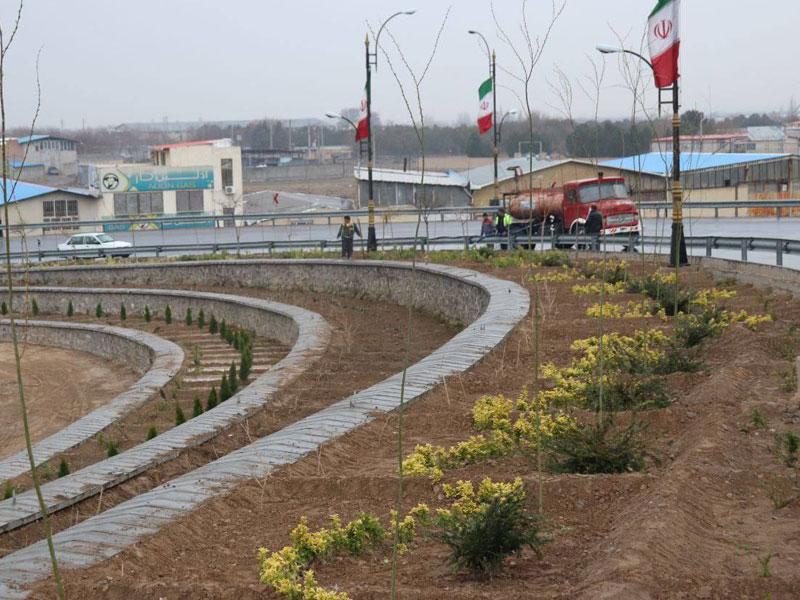 تصاویر درختان خسروشاه